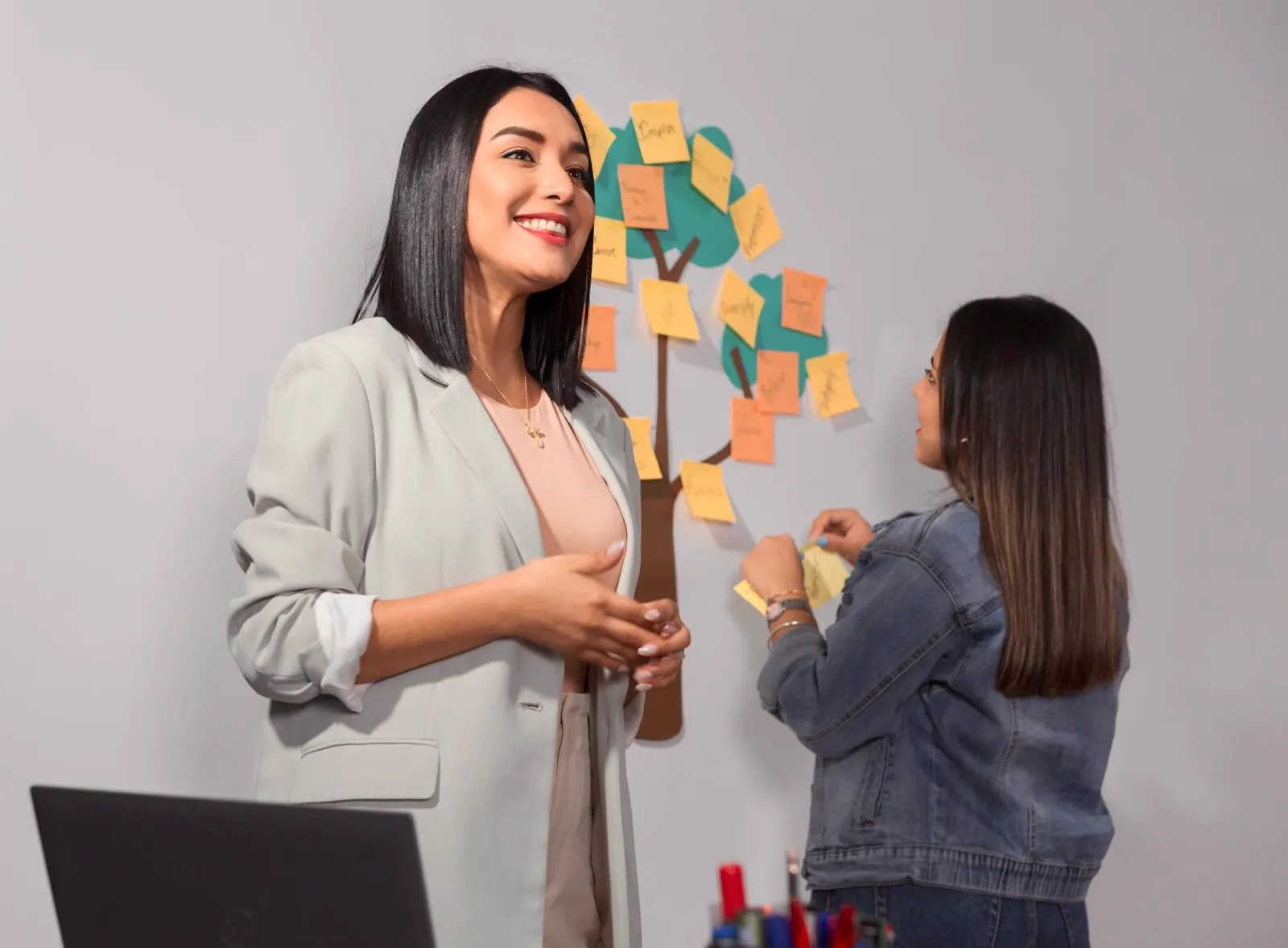 A consultant explains a work plan next to a board of notes